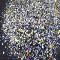 Rhapsody Glitter Mix