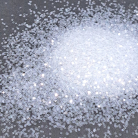 Chunky Clear 040 Glitter