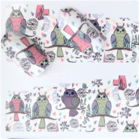 Owl Nail Art Water Decals