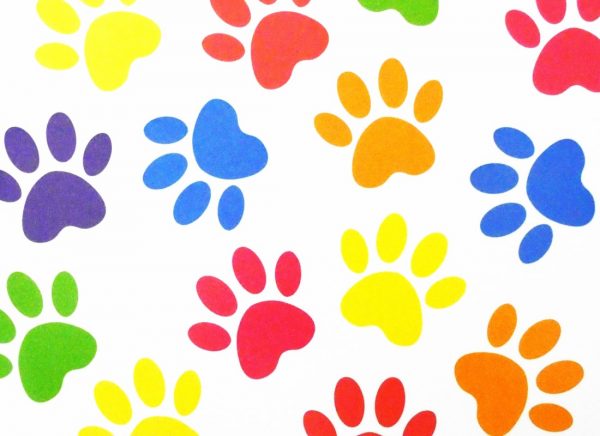 Paw Print A4 Mat