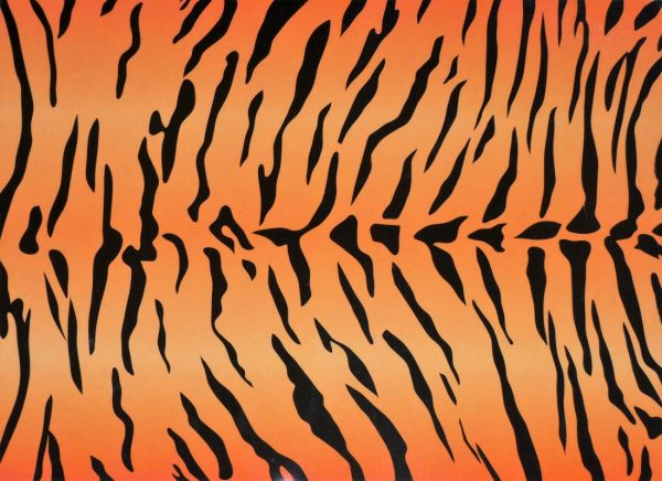 Tiger Print A4 Mat
