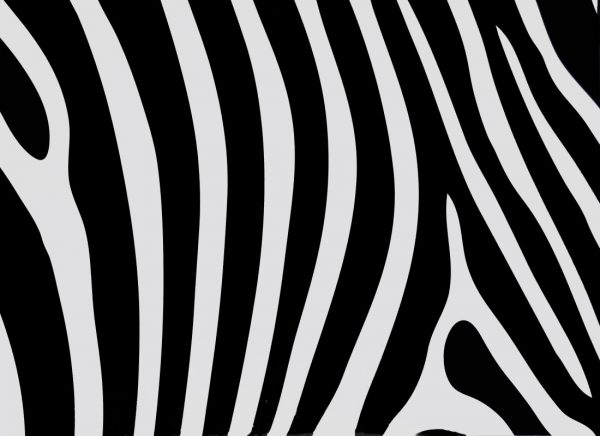 Zebra Print A4 Mat