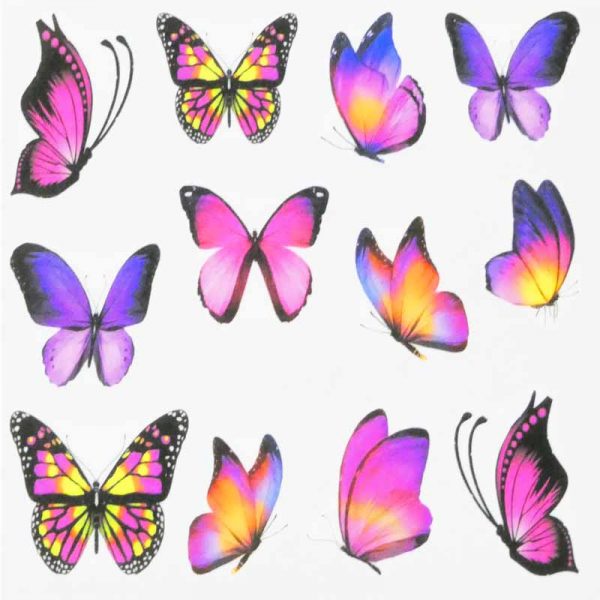 Butterfly Water Decal Design 001