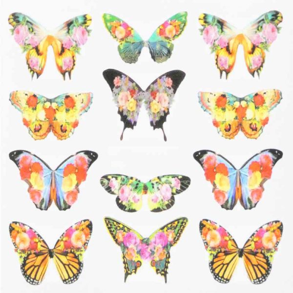 Butterfly Water Decal Design 004