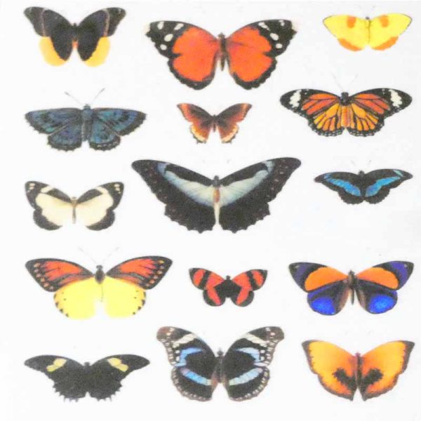 Butterfly Water Decal Design 1005