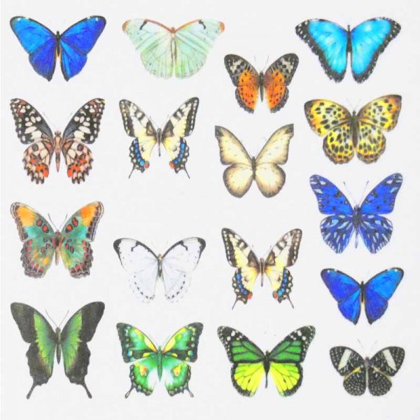 Butterfly Water Decal Design 1006