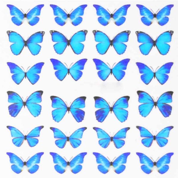 Butterfly Water Decal Design 1013