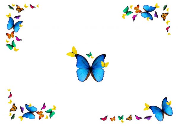 butterfly nail display mat