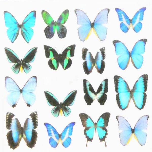 Butterfly Water Decal Design 1012