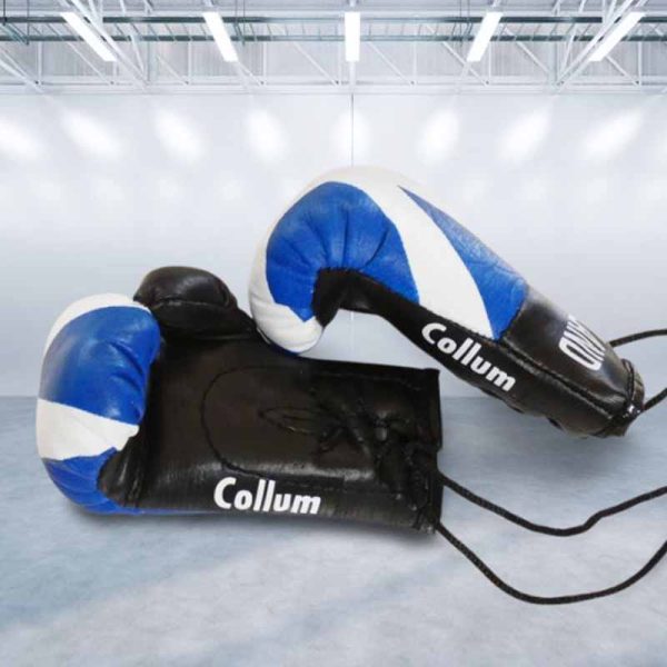 Personalised Scottish Mini Boxing Gloves For Cars & Gifts Commemorative Boxing Scotland Mini Boxing Gloves - Image 2