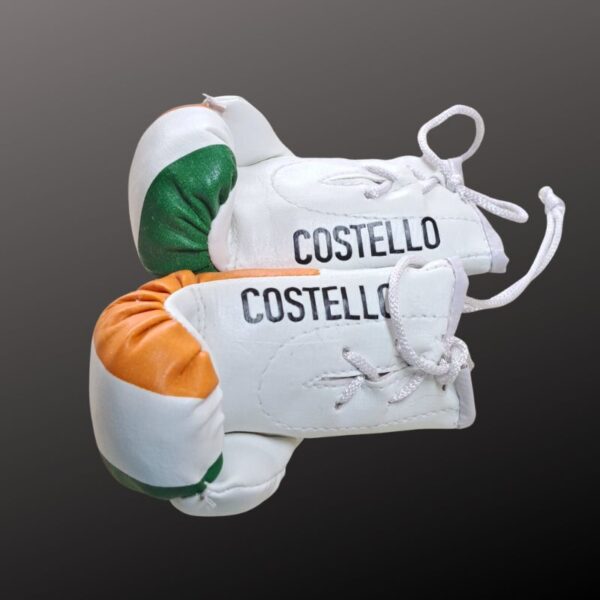 Personalised Irish Mini Boxing Gloves For Cars & Gifts Commemorative Boxing Ireland Mini Boxing Gloves - Image 4