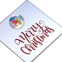 Silver Gnome Gift Box Design 6