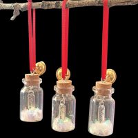 I Believe In A Bottle Christmas Tree Decoration 1