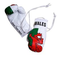 Wales Boxing Gloves
