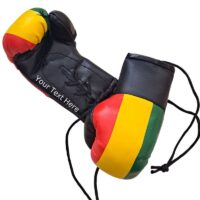 Rasta Mini Boxing Gloves