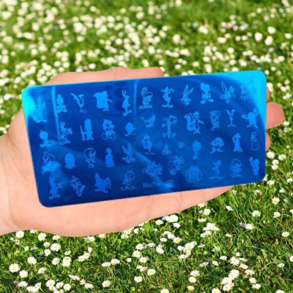 Tweety Pie Disney Nail Stamping Plate Sylvester Daffy Duck Bugs Bunny Road Runner Nail Stamping Plate 122 - Image 2