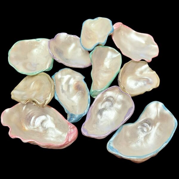 Oyster Shell Wedding Favours Craft Decoration Trinket Dish Gift Decorated Oyster Shells Beach Shells - Image 6