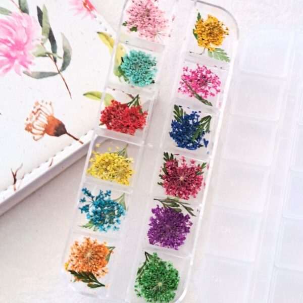 Dried Flower Set 1