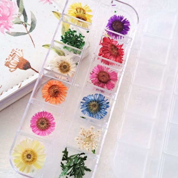 Dried Flower Set 3