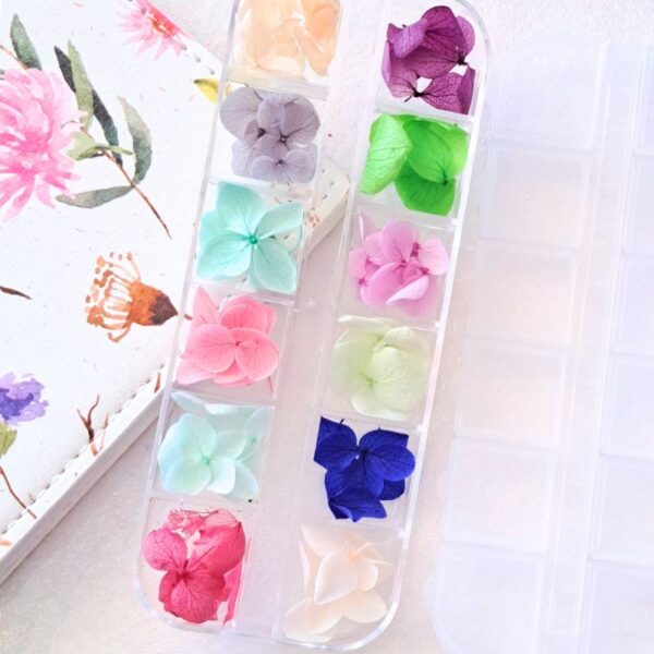 Dried Flower Set 4