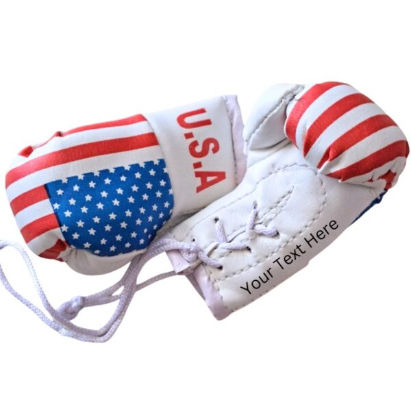 USA Boxing Gloves