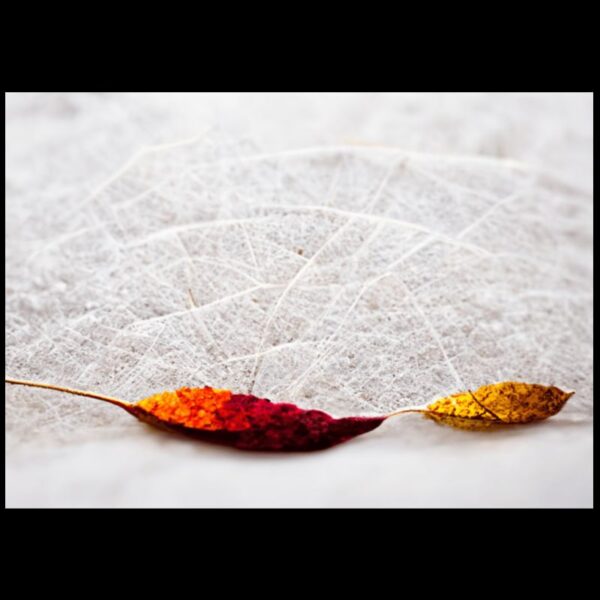 Autumn Photographic Background Mats A4 And A5 Size Nail Mats Double Sided Image Photographic Background Mats - Image 3