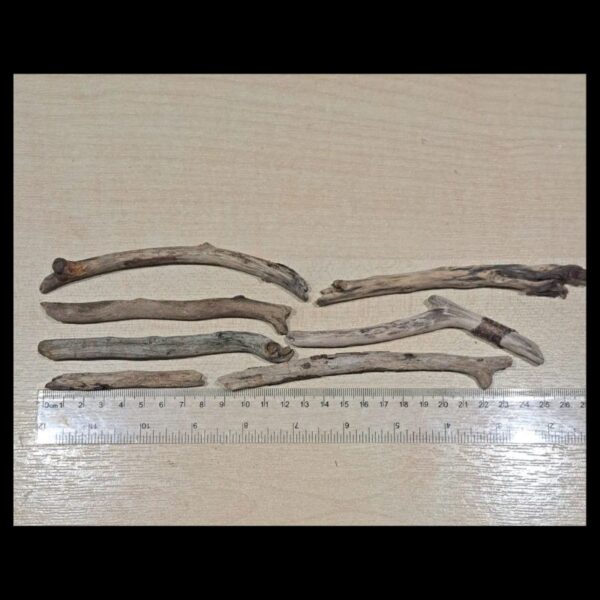 Driftwood Bundle