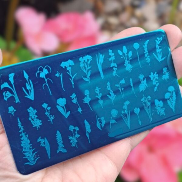 Flower Nail Art Stamping Plate Design 053