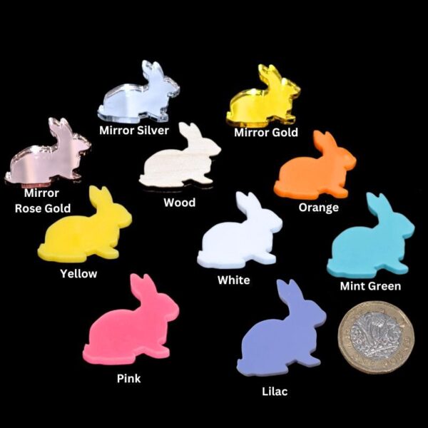 Easter Bunny Acrylic Blanks, Mini Bunny Cake Toppers, Easter Craft Decorations x 10