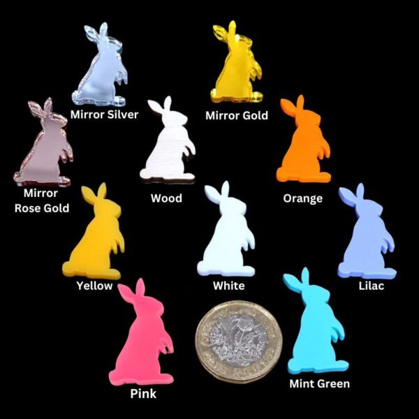 Easter Bunny Acrylic Blanks, Mini Bunny Cake Toppers, Easter Craft Decorations x 10 Design 3