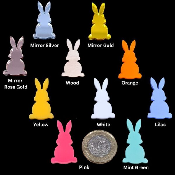 Easter Bunny Acrylic Blanks, Mini Bunny Cake Toppers, Easter Craft Decorations x 10 Design 4