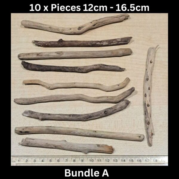 Driftwood 10 x Pieces 12cm - 16.5cm Bundle A