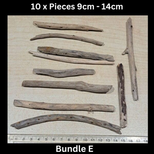 Driftwood 10 x Pieces 9cm - 14cm Bundle E