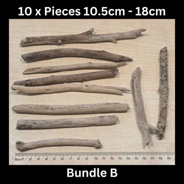 Driftwood 10.5cm - 18cm Bundle B
