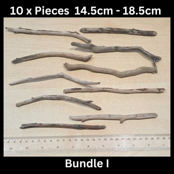 Driftwood 14.5cm - 18.5cm Bundle I