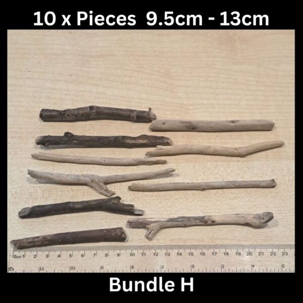 Driftwood 9.5cm - 13cm Bundle H