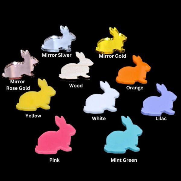 Acrylic Miniature Bunny's