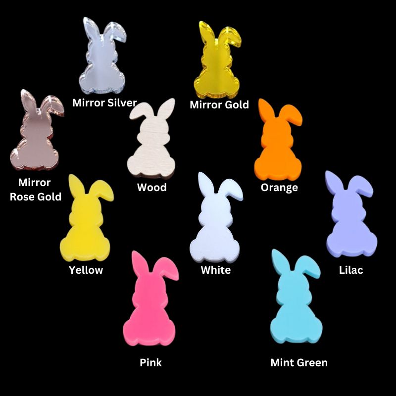 Easter Bunny Acrylic Blanks, Mini Bunny Rabbit Cake Toppers, Easter Craft Decorations x 10 Design 2 - Image 3