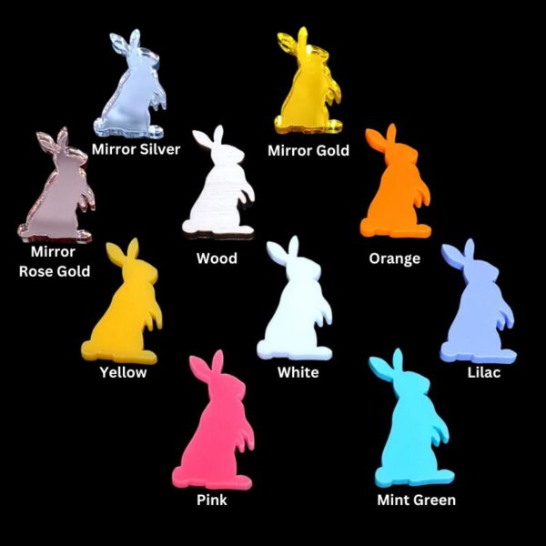 Easter Bunny Acrylic Blanks, Mini Bunny Cake Toppers, Easter Craft Decorations x 10 Design 3 - Image 3