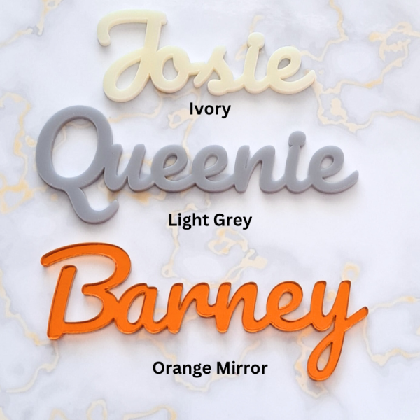 Acrylic Personalised Names, Wedding Place Names, Mirror Acrylic Cake Topper Names, Script Name Plaques - Image 8
