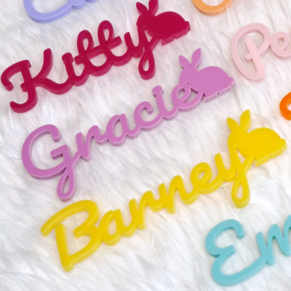Easter Basket Gift Tags, Personalised Easter Names, Easter Bunny Place Names, Easter Cake Topper Names, Easter Basket Tags, Bunny Name Tags - Image 3