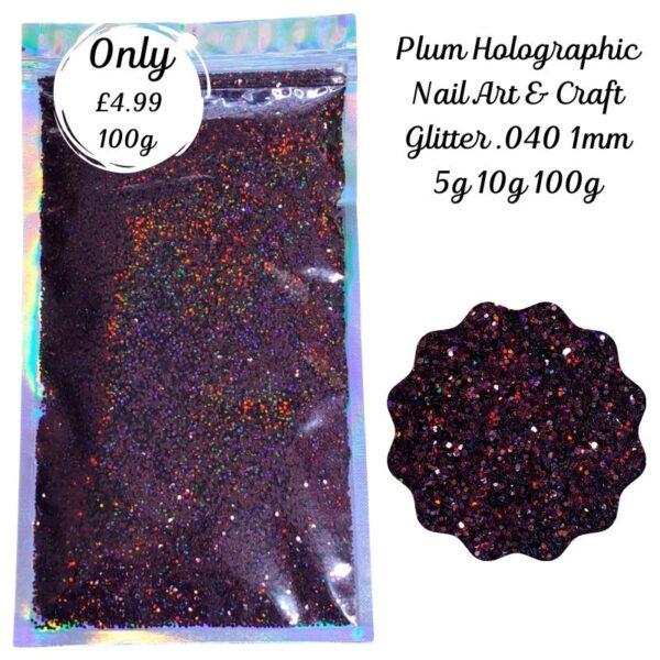 Plum Holographic Glitter Mix Nail Art Craft Resin .040 1mm