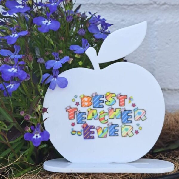 Apple Design Best Teacher Gifts, Thank You Teacher, School Nursery Pre School Leaving Gift End Of Term Teacher Presents - Image 2