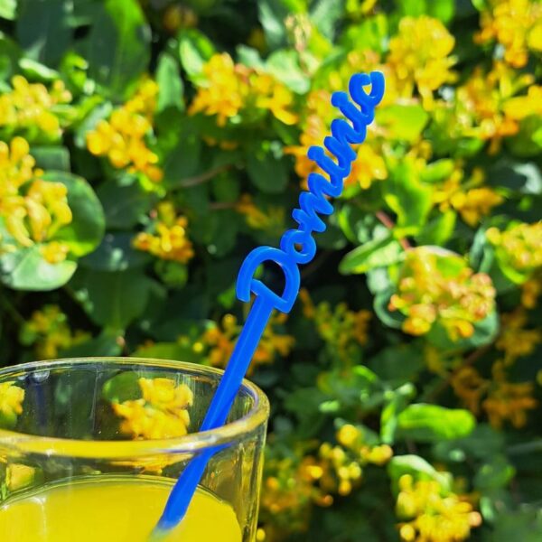 Drinks Stirrers, Personalised Drinks Stirrers, Party Stirrers, Birthday Drinks Stirrers, Wedding Drink Stirrers, Hen Party Drinks Stirrers, Personalised Swizzle Sticks - Image 6