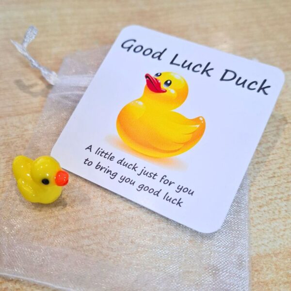 Good Luck Duck, Pocket Hug Duck, Lucky Duck Gift, Novelty Duck Good Luck Charm, Exam Pocket Hug Token - Image 3