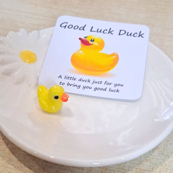 Good Luck Duck, Pocket Hug Duck, Lucky Duck Gift, Novelty Duck Good Luck Charm, Exam Pocket Hug Token - Image 2