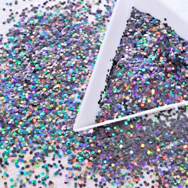 Gunmetal Holographic Glitter .040 1mm