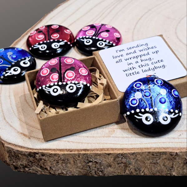 Ladybird Hand Painted Hug Pebble Ladybug Glass Pebble