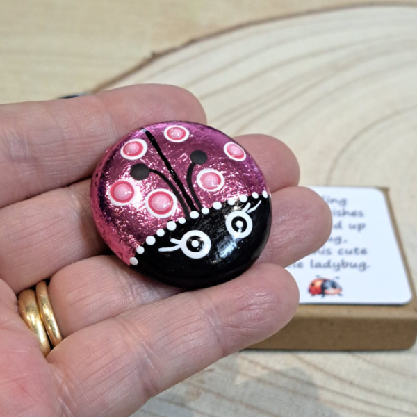 Ladybird Pocket Hug Pebble, Hand Painted Ladybug Glass Pebble Xmas Stocking Filler Friend Gift - Image 3
