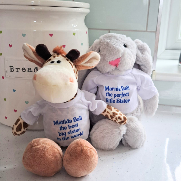 Personalised Cuddly Toys, Customised Plush Teddy Bears, Personalised Soft Cuddly New Baby Gifts - Image 15